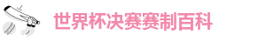 世界杯决赛赛制百科